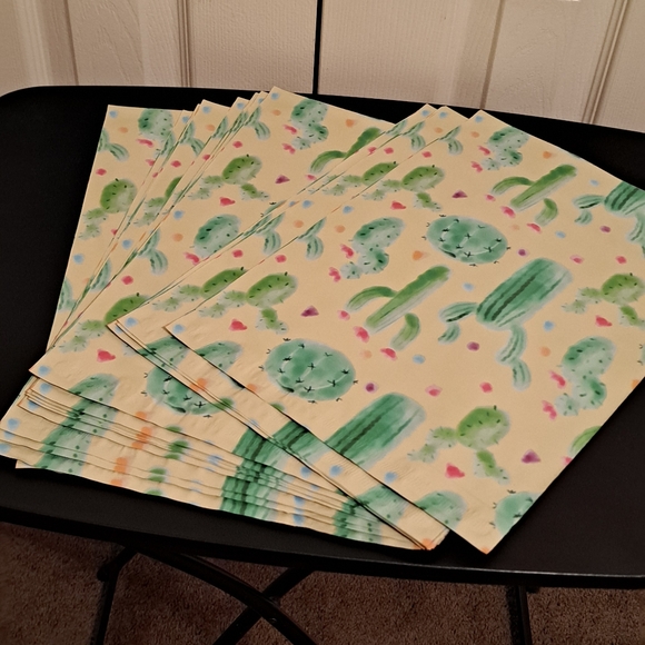Other - 15 ct 10×13 Dessert Cactus polymailers